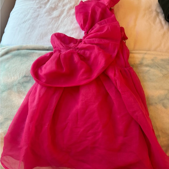 Vibrant Pink Ruffle Mini Dress - Picture 3 of 4